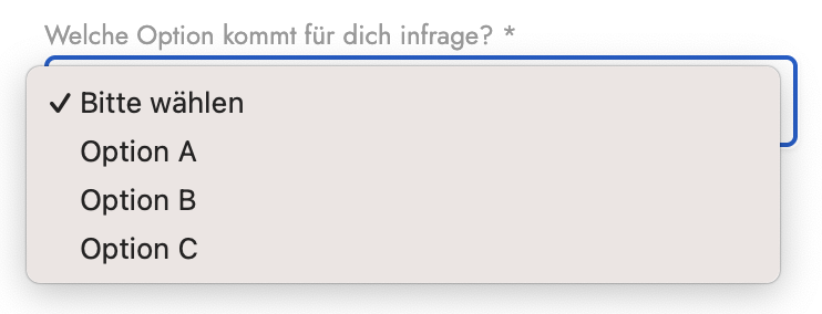 neues-produkt_benutzerdef-felder_auswahlliste.png