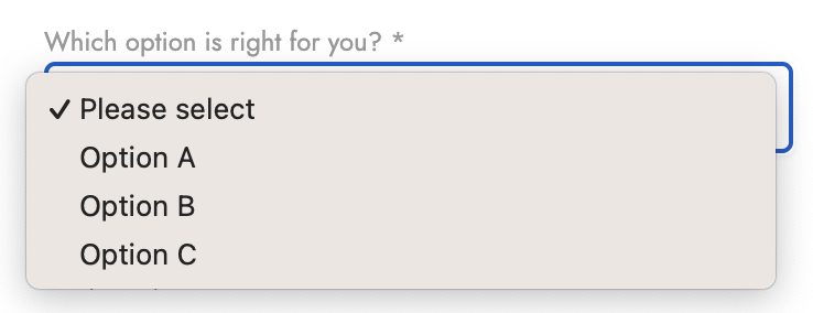 new-product_custom-fields_dropdown-list.png